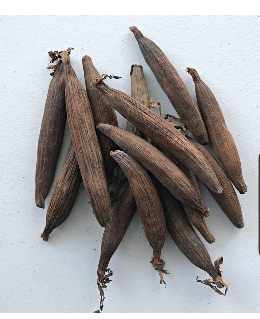 Jkub Jujube ( Seeds Peace ) 2 oz