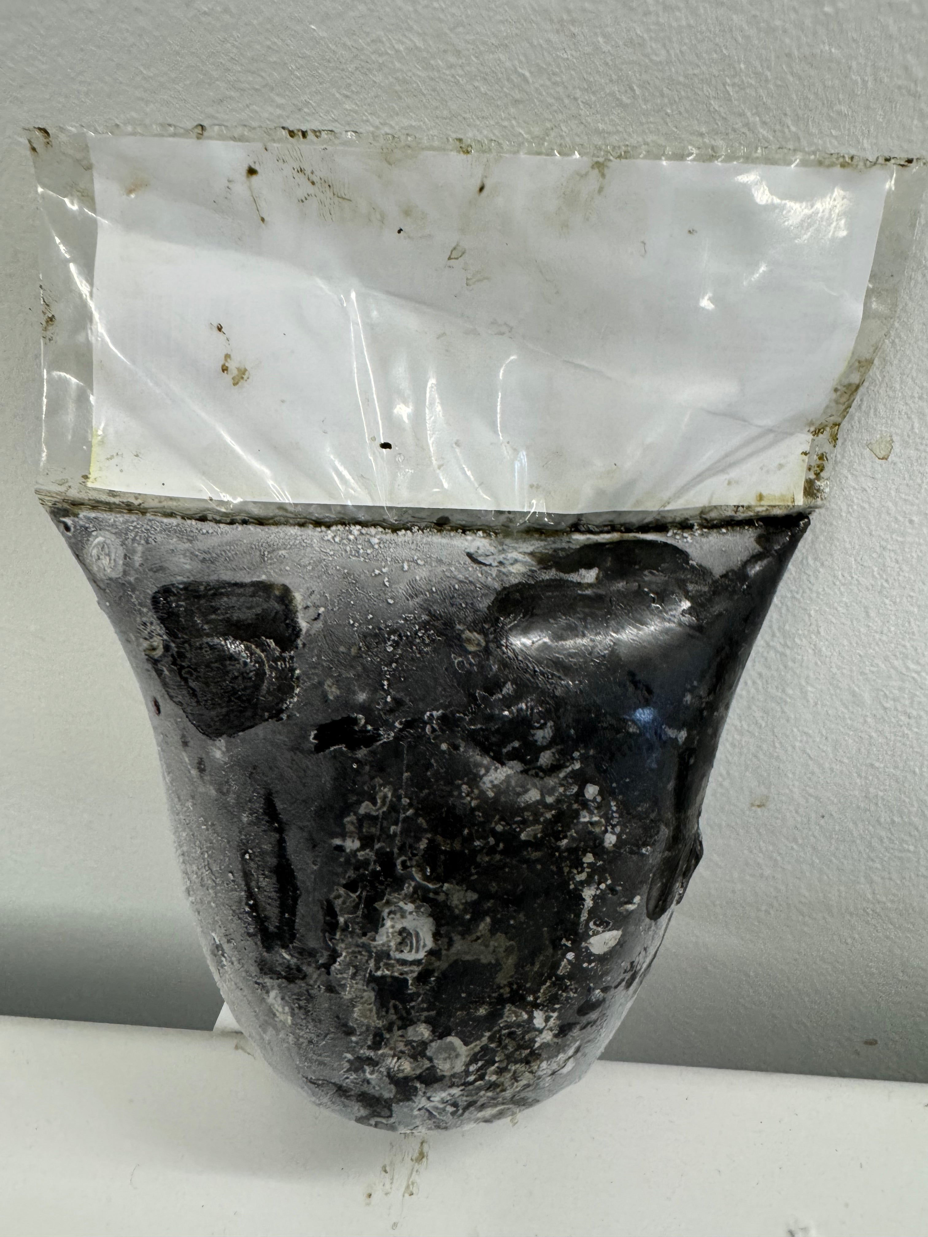 Calapaz corp Nscent / Fever Leaves / Masepo / Nshanwu / Nunum 1.10 Lb