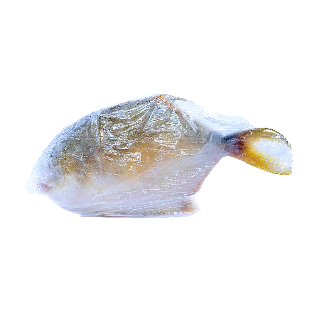 Pompano Fish Fresh